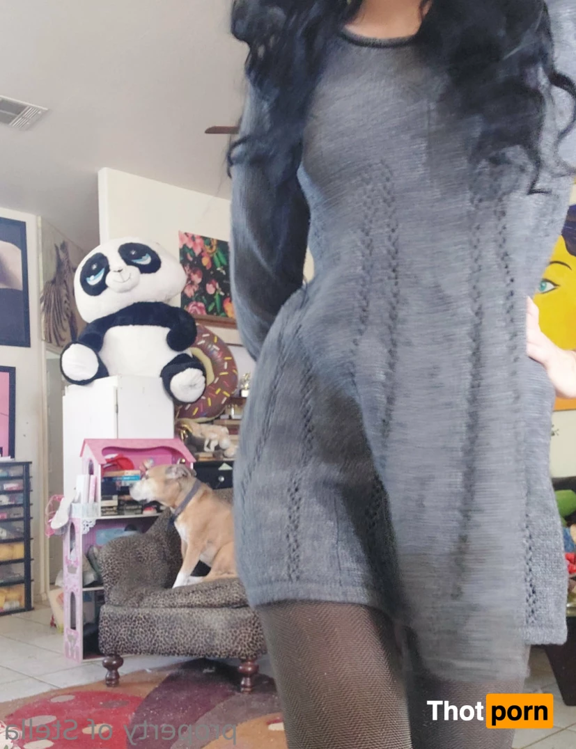 Stella Aeternum 10433965