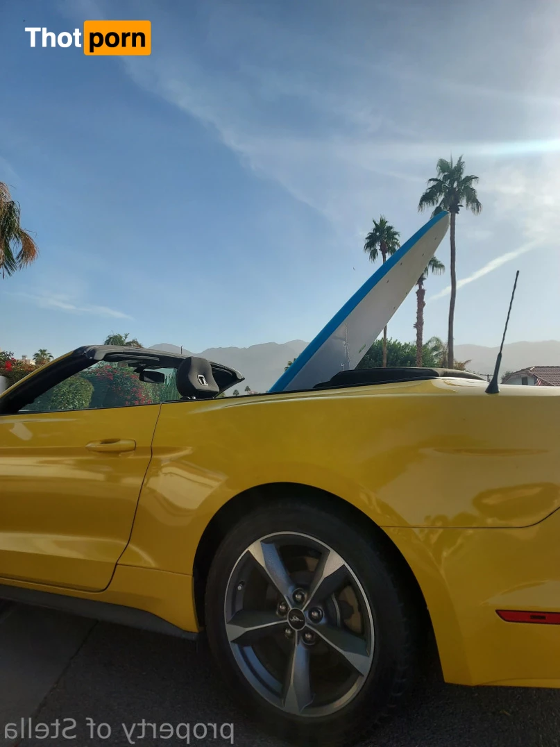 Stella Aeternum 10433985