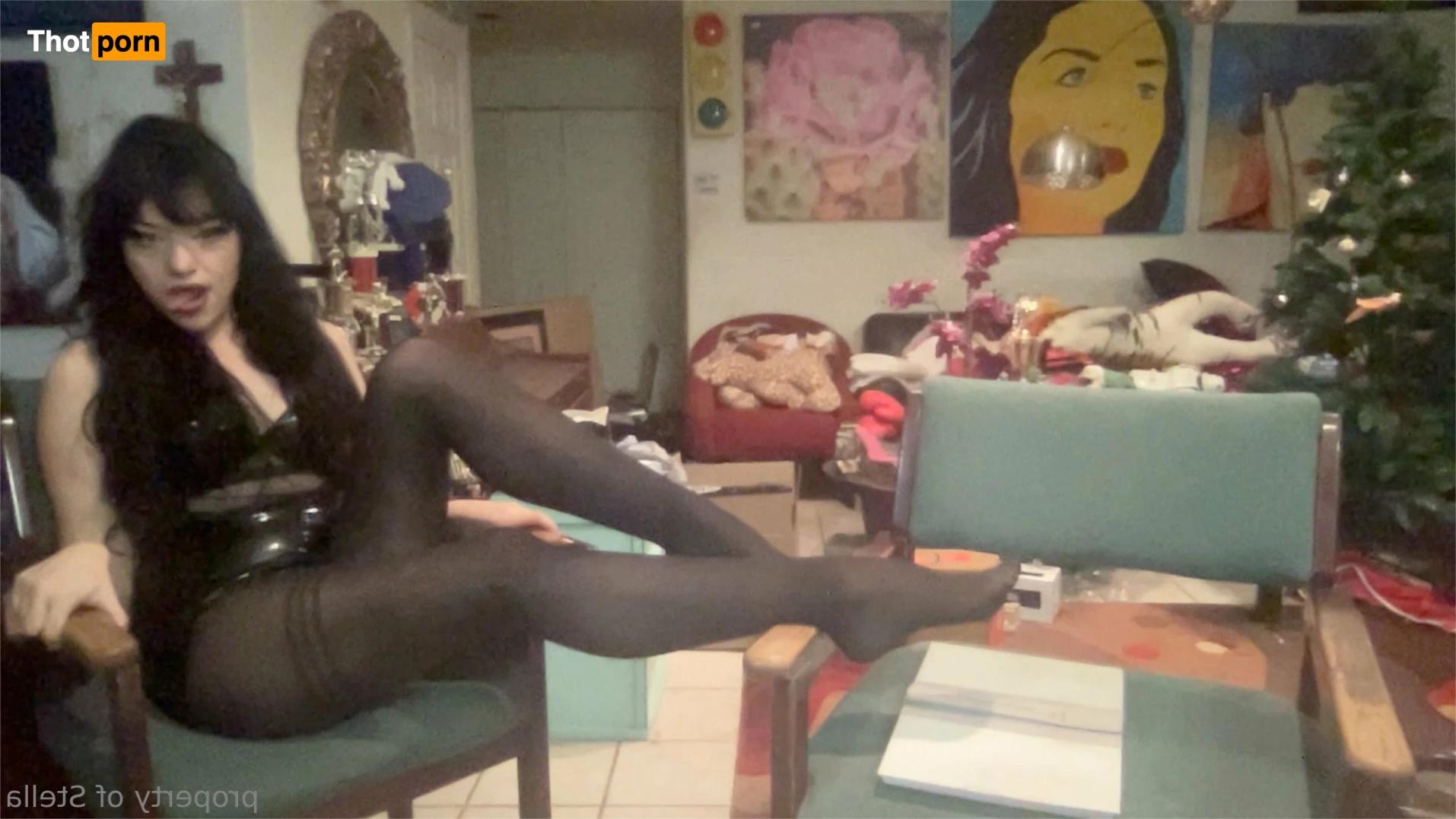 Stella Aeternum 10434039