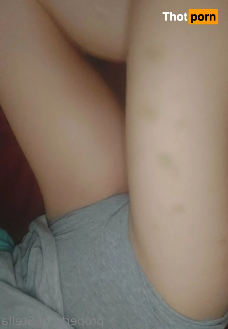 Stella Aeternum 10434079