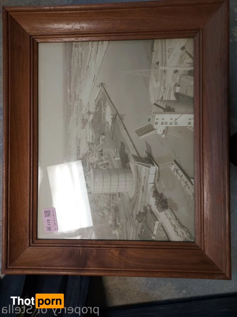 Stella Aeternum 10434094