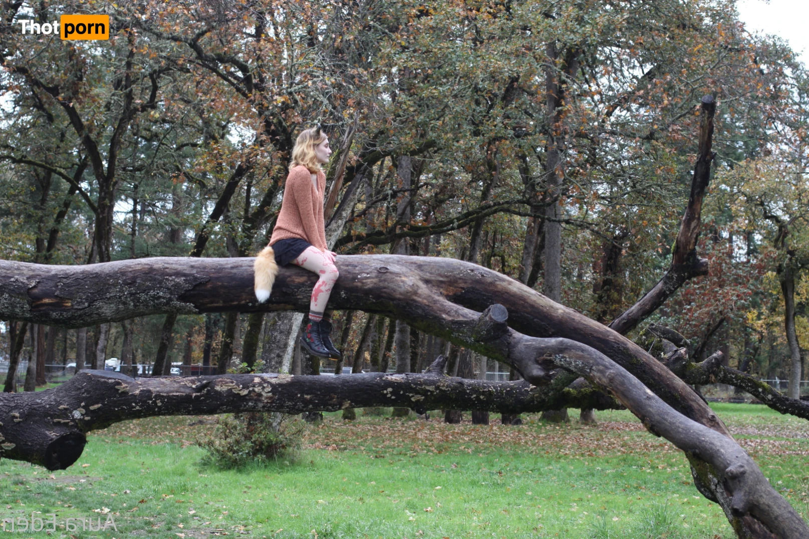 Aura Eden 🌸 13660621