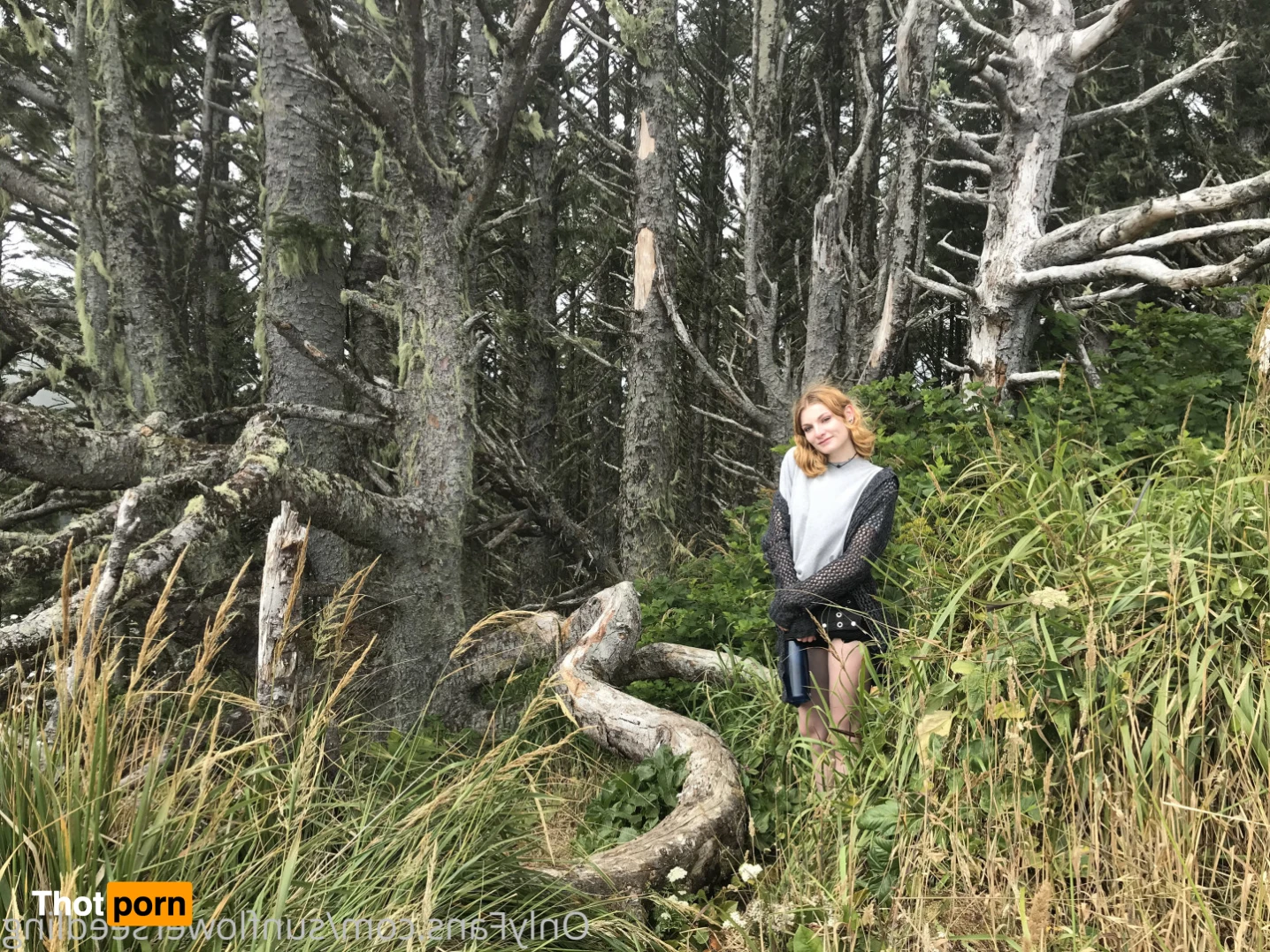 Aura Eden 🌸 13661362