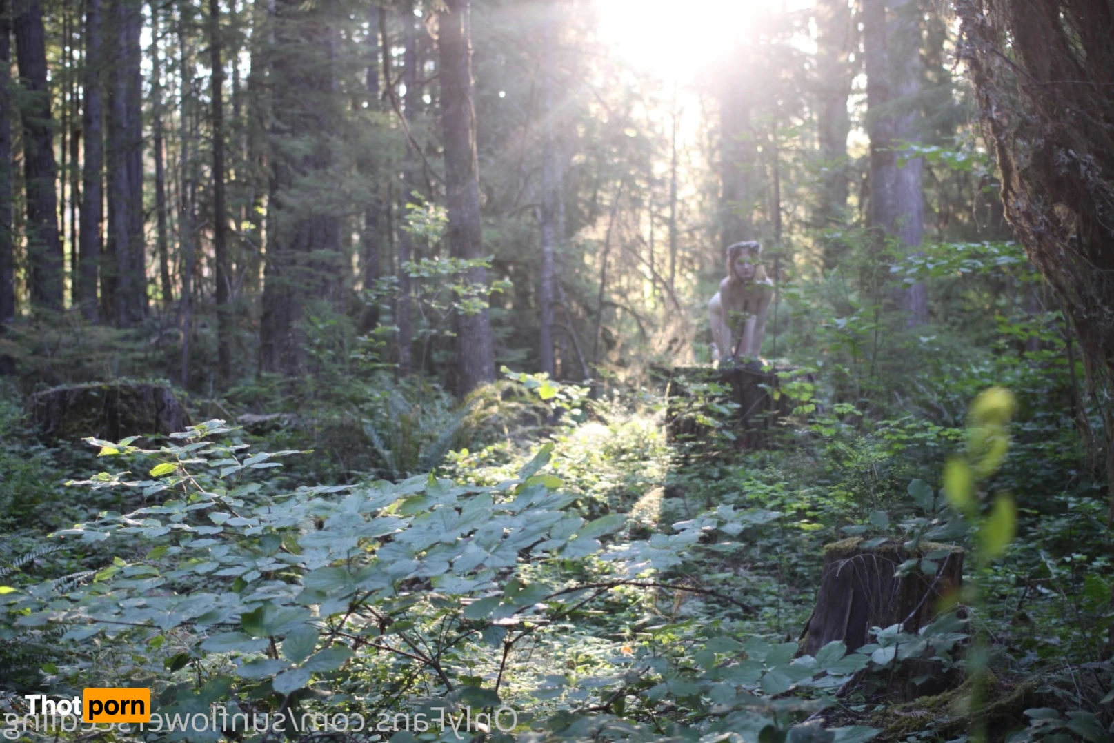 Aura Eden 🌸 13661641