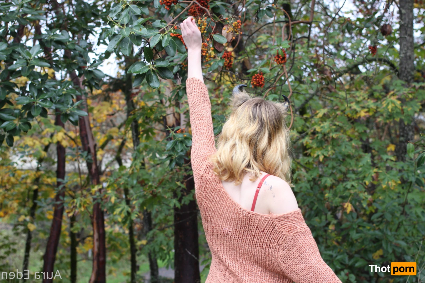 Aura Eden 🌸 13661666