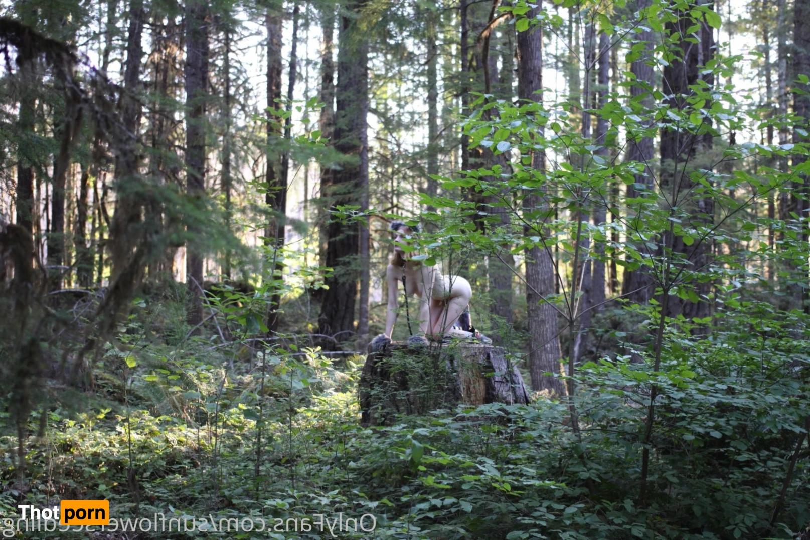 Aura Eden 🌸 13663234