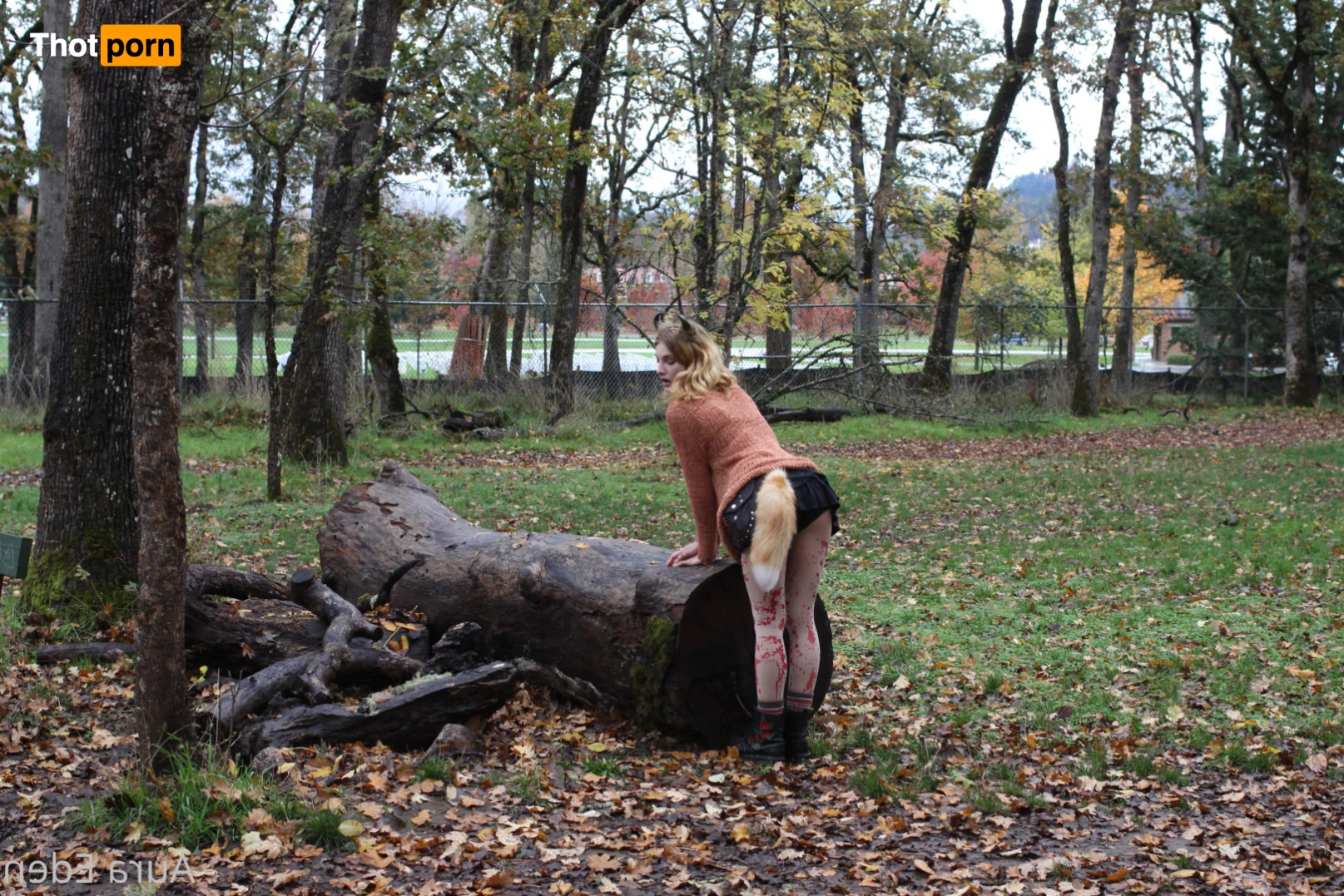 Aura Eden 🌸 13663417