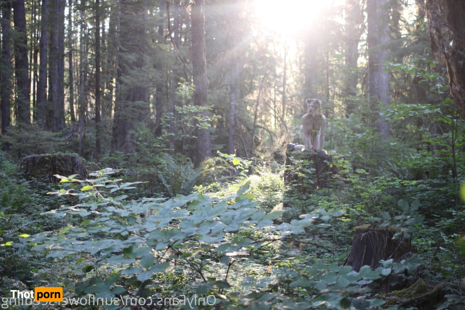 Aura Eden 🌸 13663470