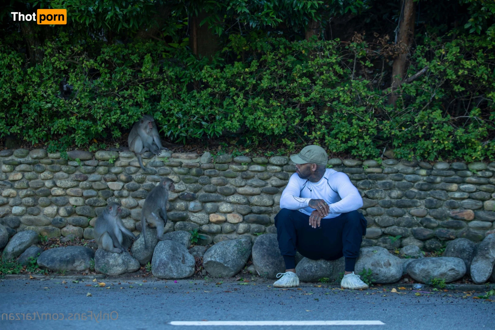 The Real Tarzann 10483068