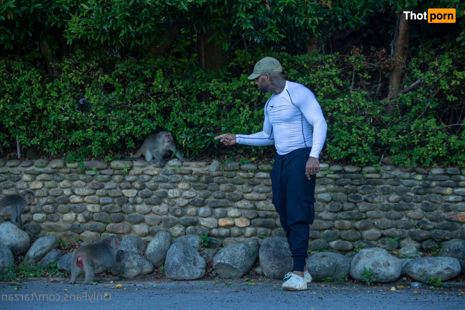 The Real Tarzann 10483083