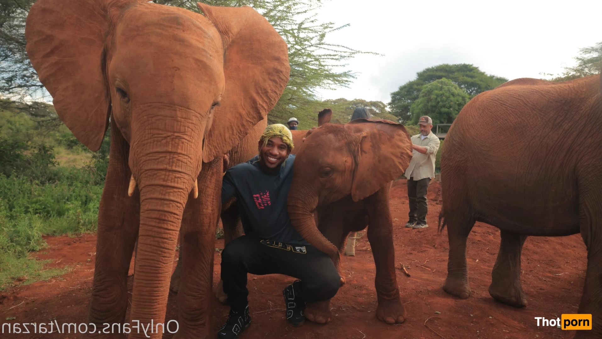 The Real Tarzann 10483090