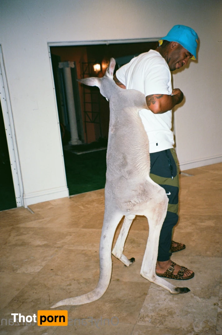 The Real Tarzann 10483103