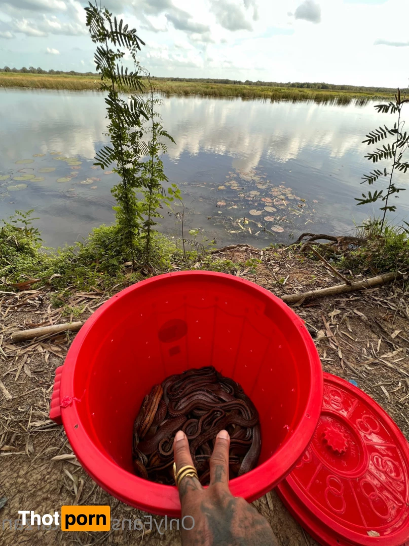 The Real Tarzann 10483108