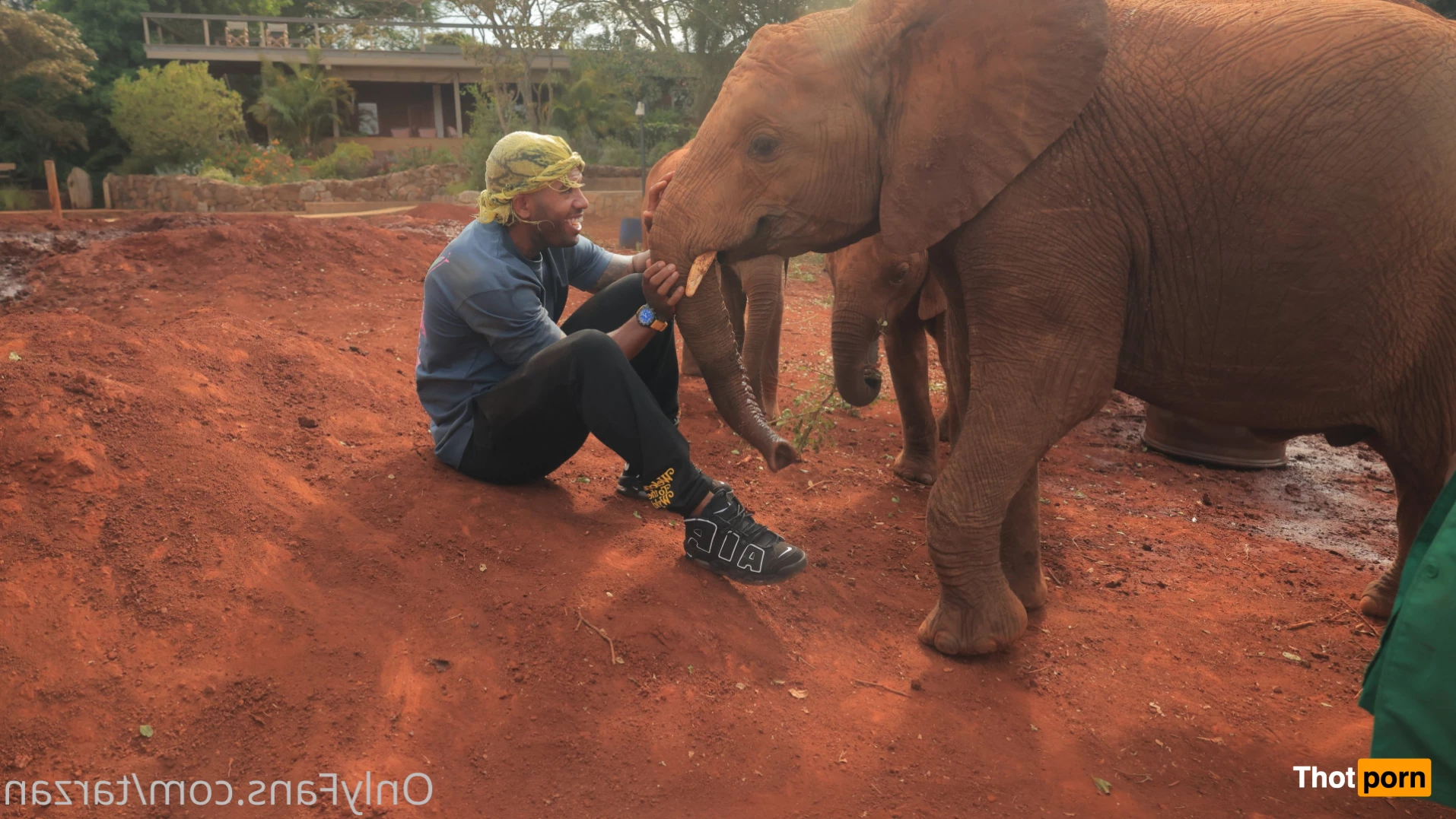 The Real Tarzann 10483138