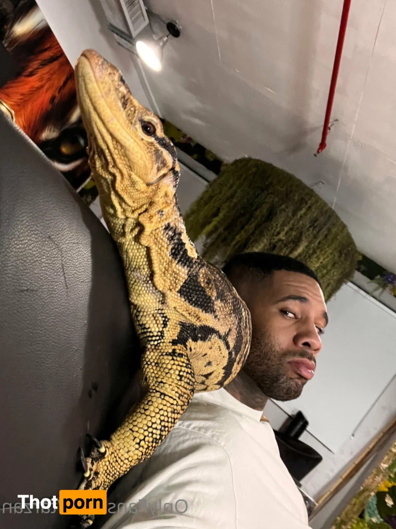 The Real Tarzann 10483184