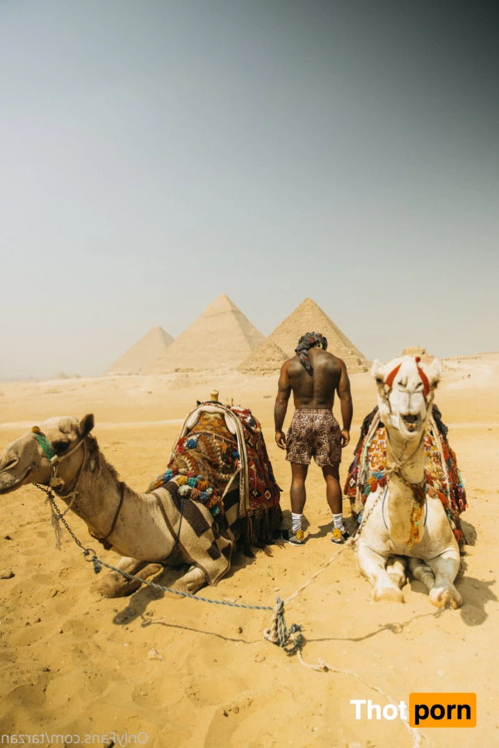 The Real Tarzann 10483237