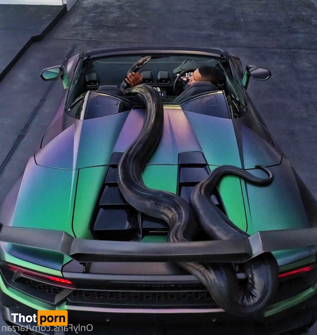 The Real Tarzann 10483246