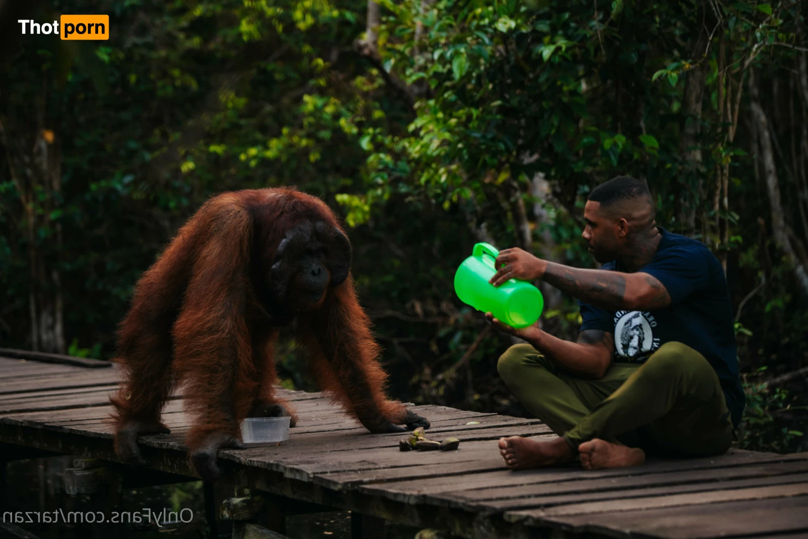 The Real Tarzann 10483282