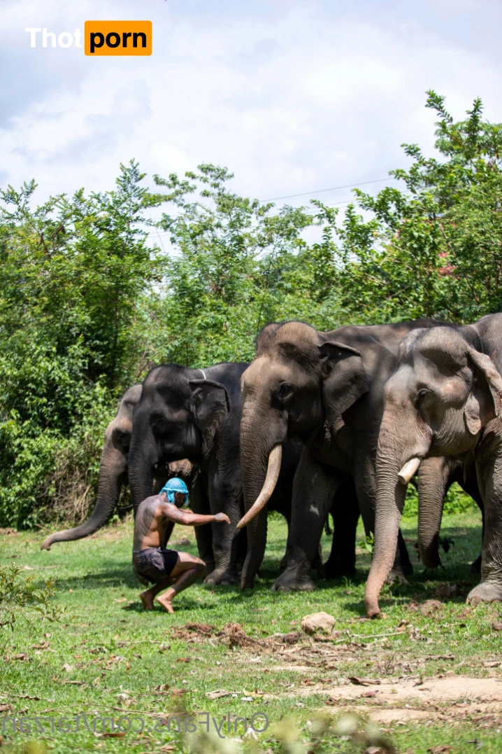 The Real Tarzann 10483299