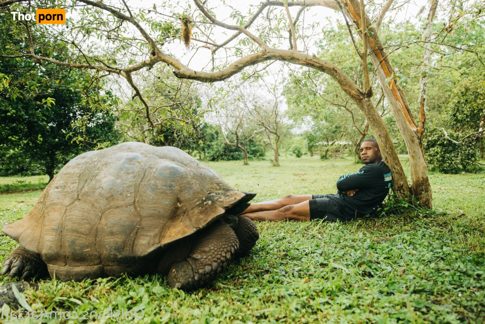 The Real Tarzann 10483380