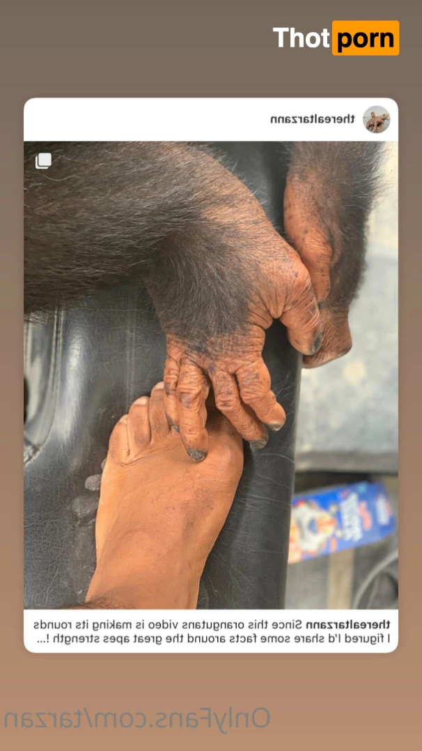 The Real Tarzann 10483440