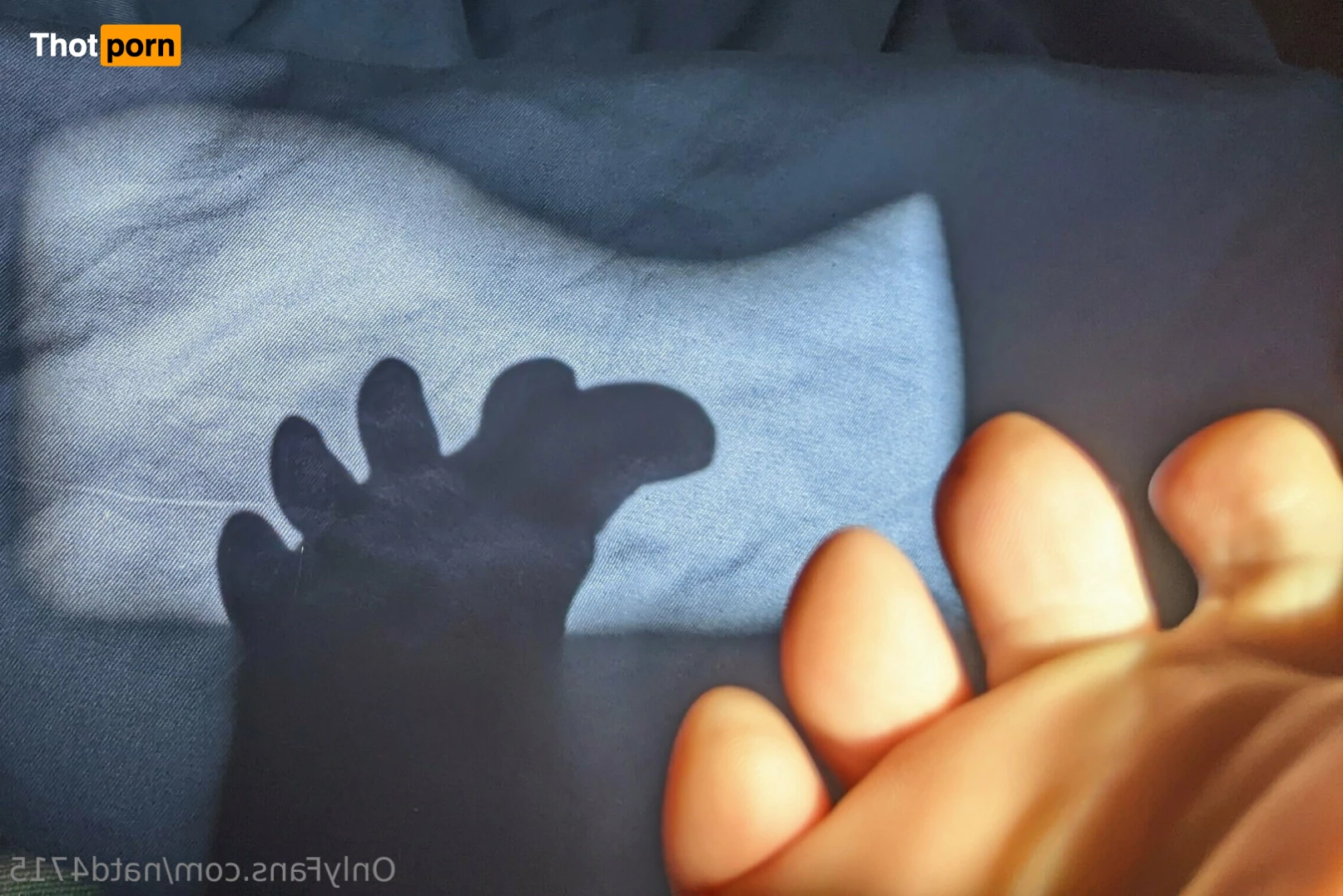 Tasha's Toes 6579489