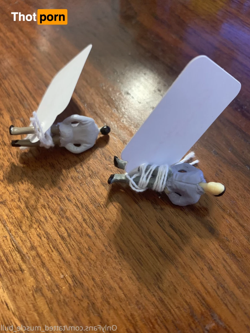 TattedMuscleBull 6631991