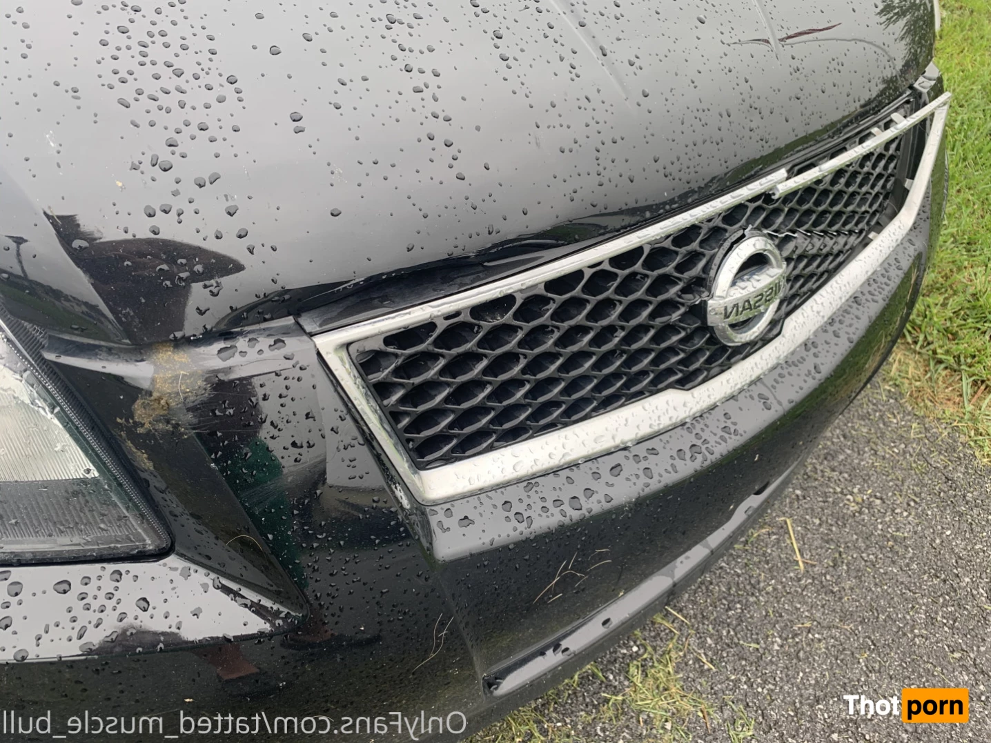 TattedMuscleBull 6632020