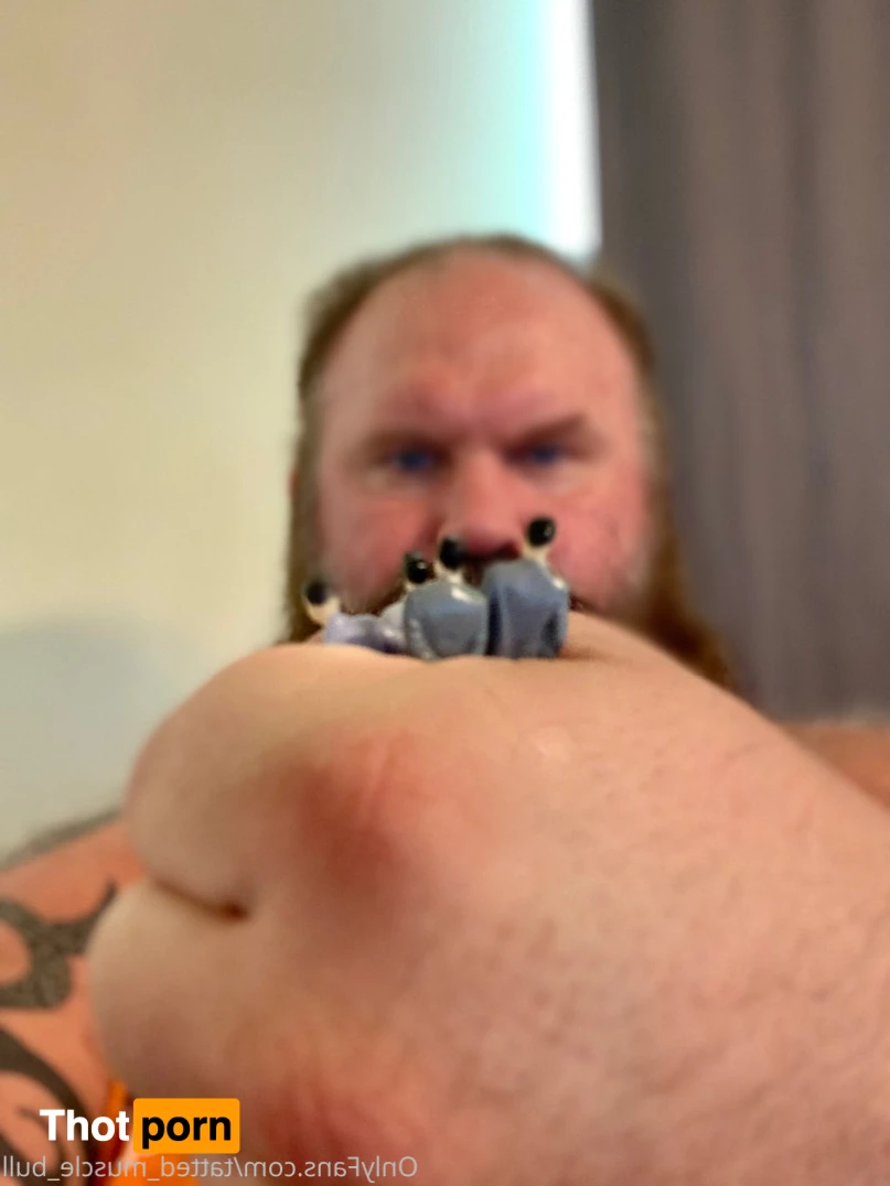 TattedMuscleBull 6632090