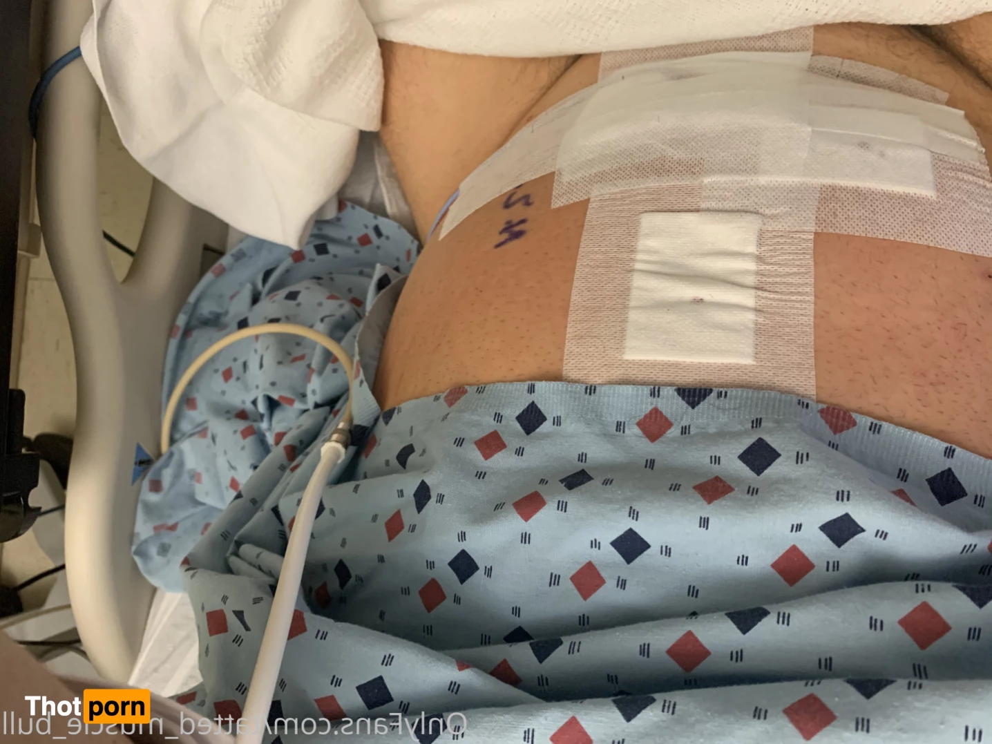 TattedMuscleBull 6632171