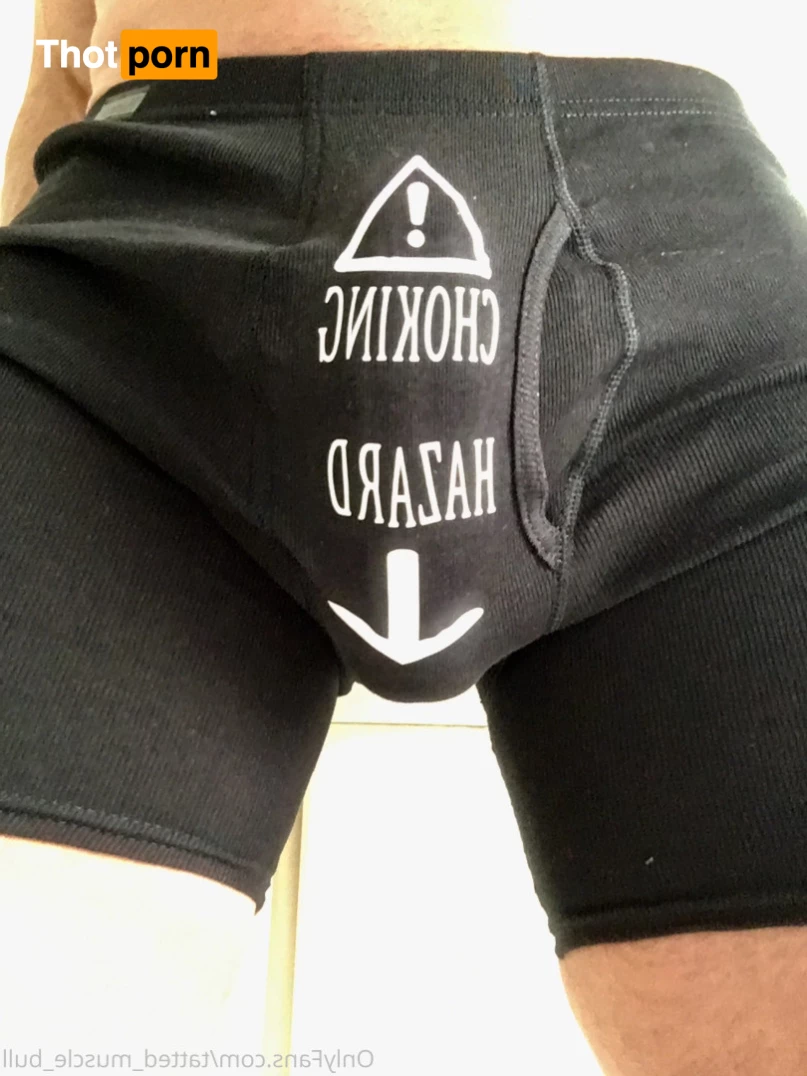 TattedMuscleBull 6632201