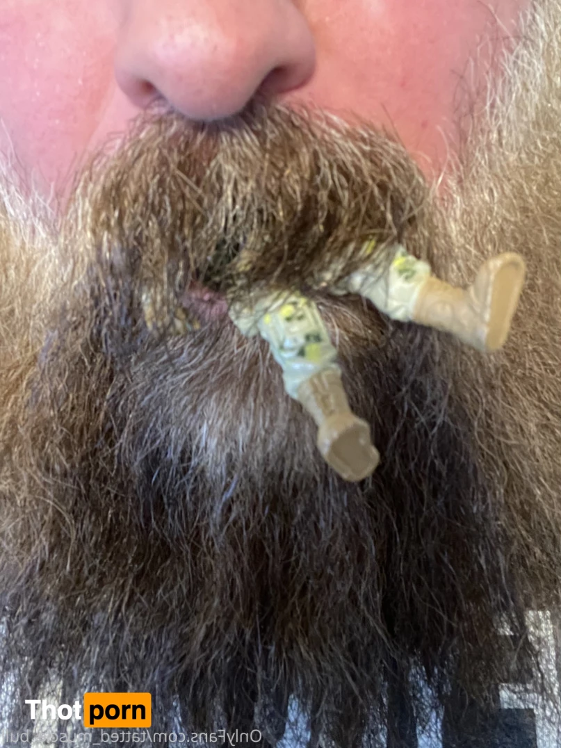 TattedMuscleBull 6632211