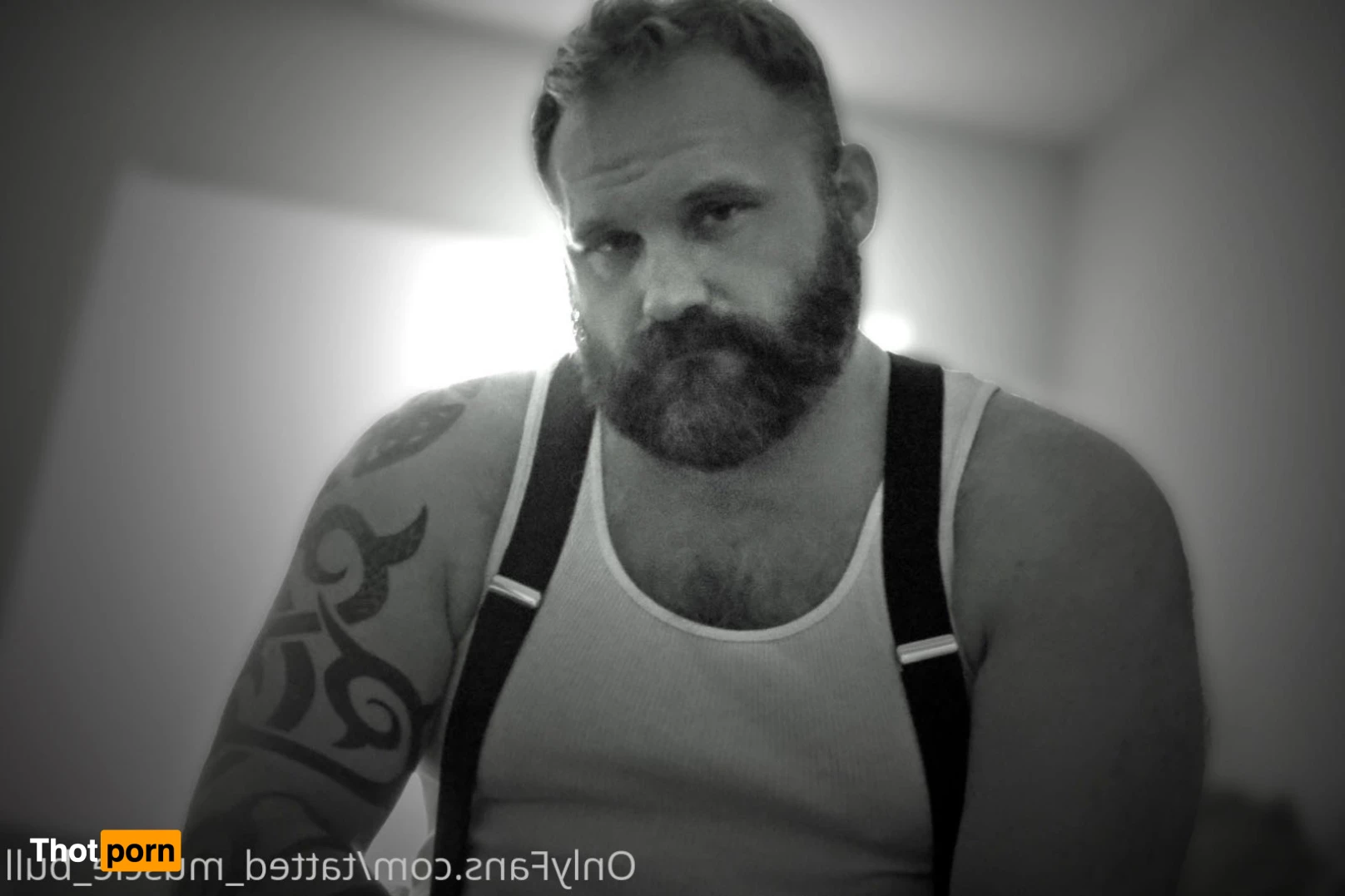 TattedMuscleBull 6632302