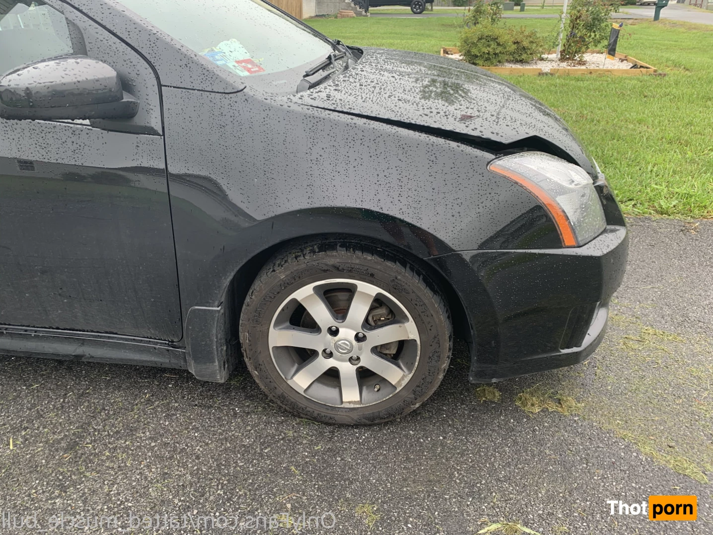 TattedMuscleBull 6632325