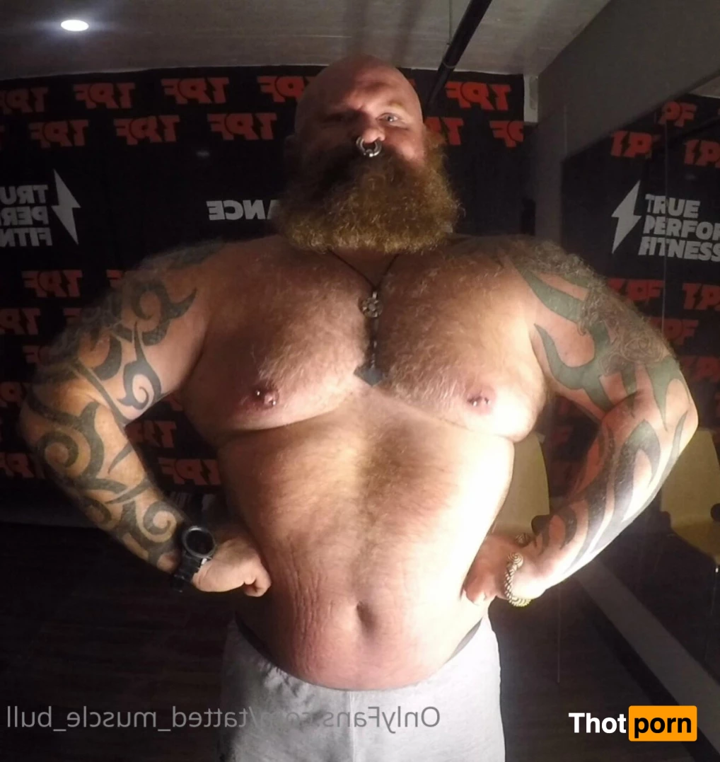 TattedMuscleBull 6632333