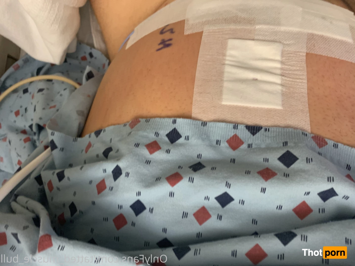 TattedMuscleBull 6632367