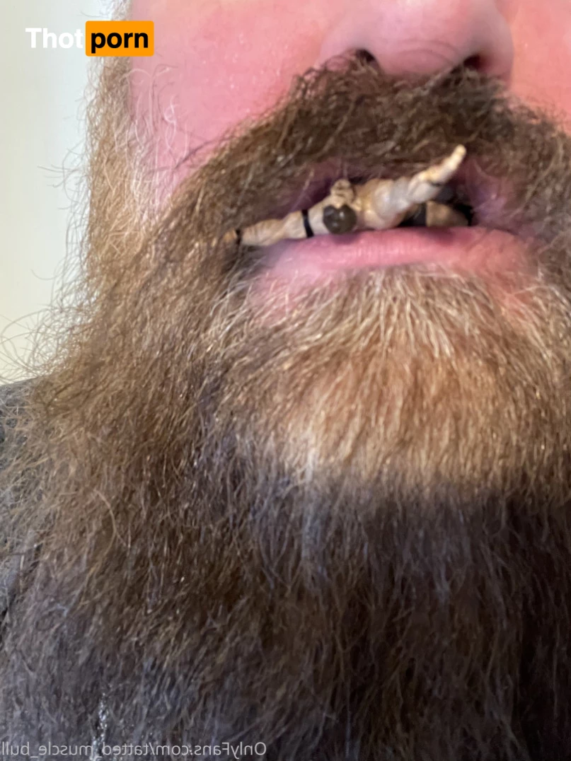 TattedMuscleBull 6632385