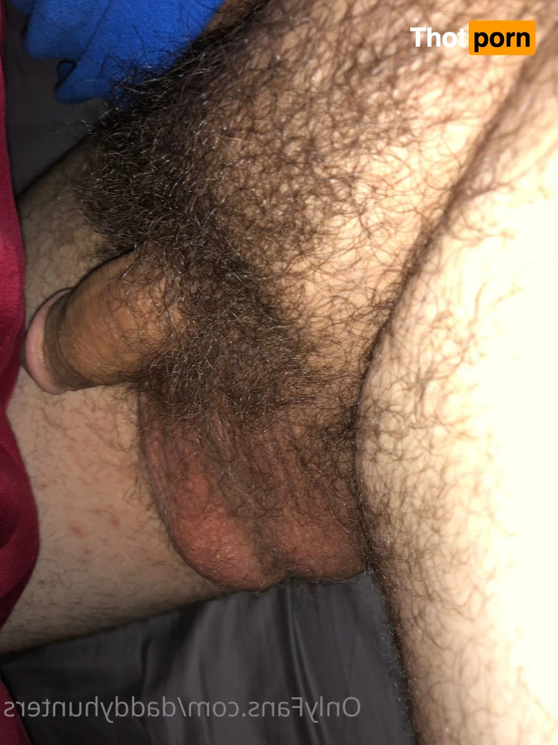 The Husbears 7143851