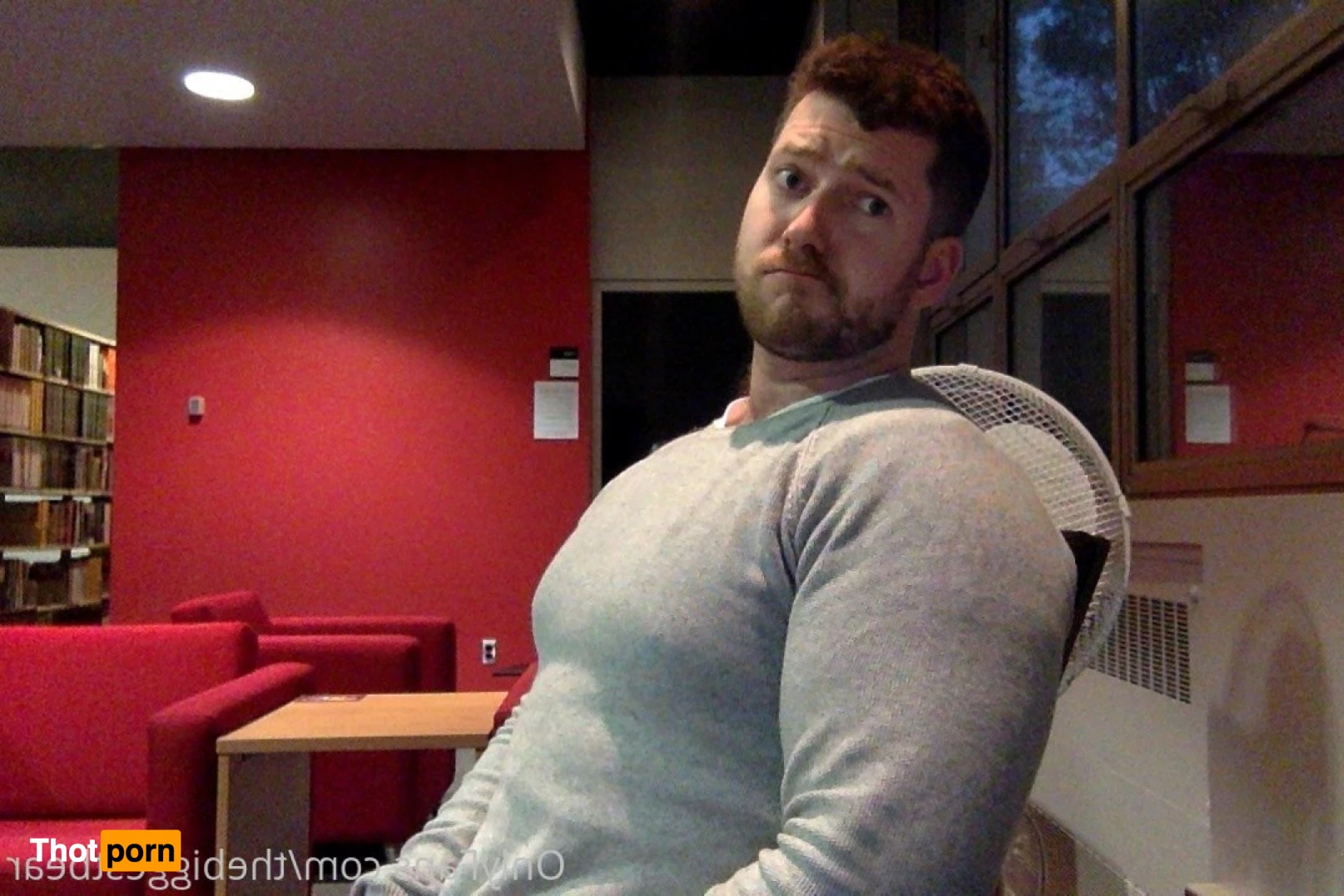 The Biggest Bear 6589660