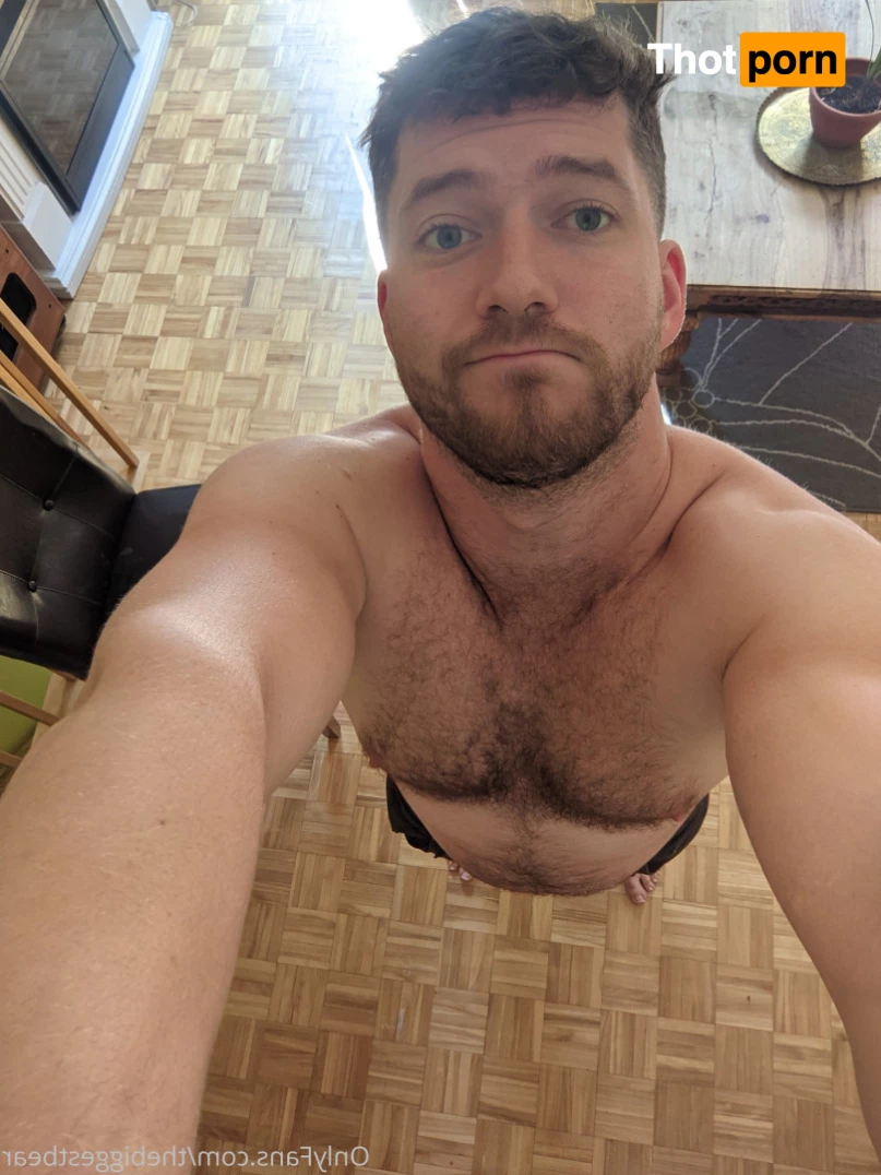 The Biggest Bear 6589721