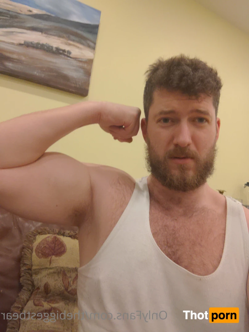 The Biggest Bear 6589809