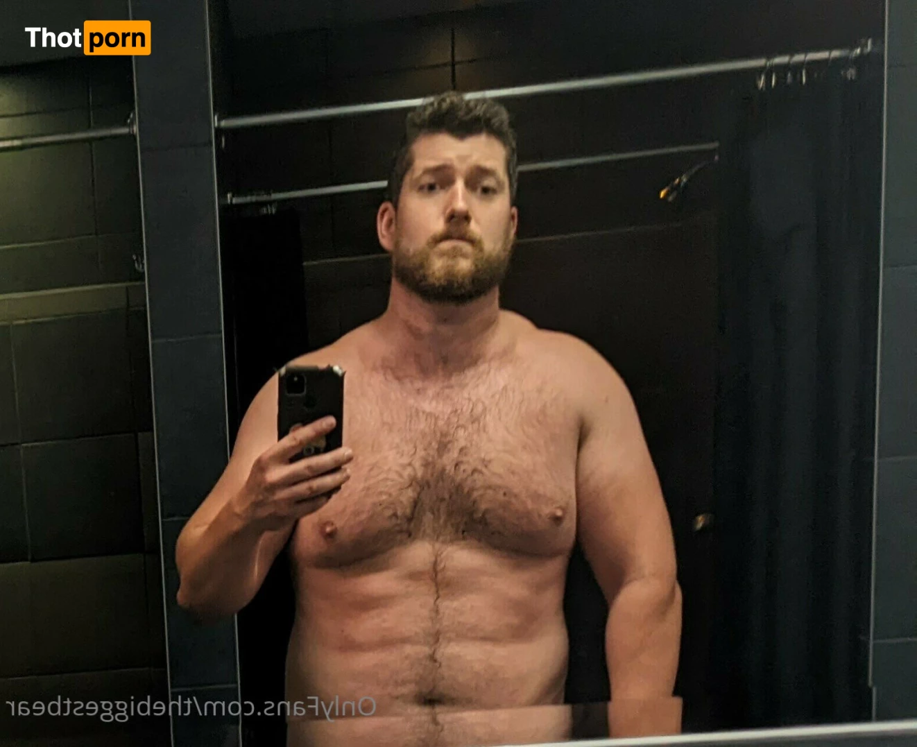 The Biggest Bear 6589845