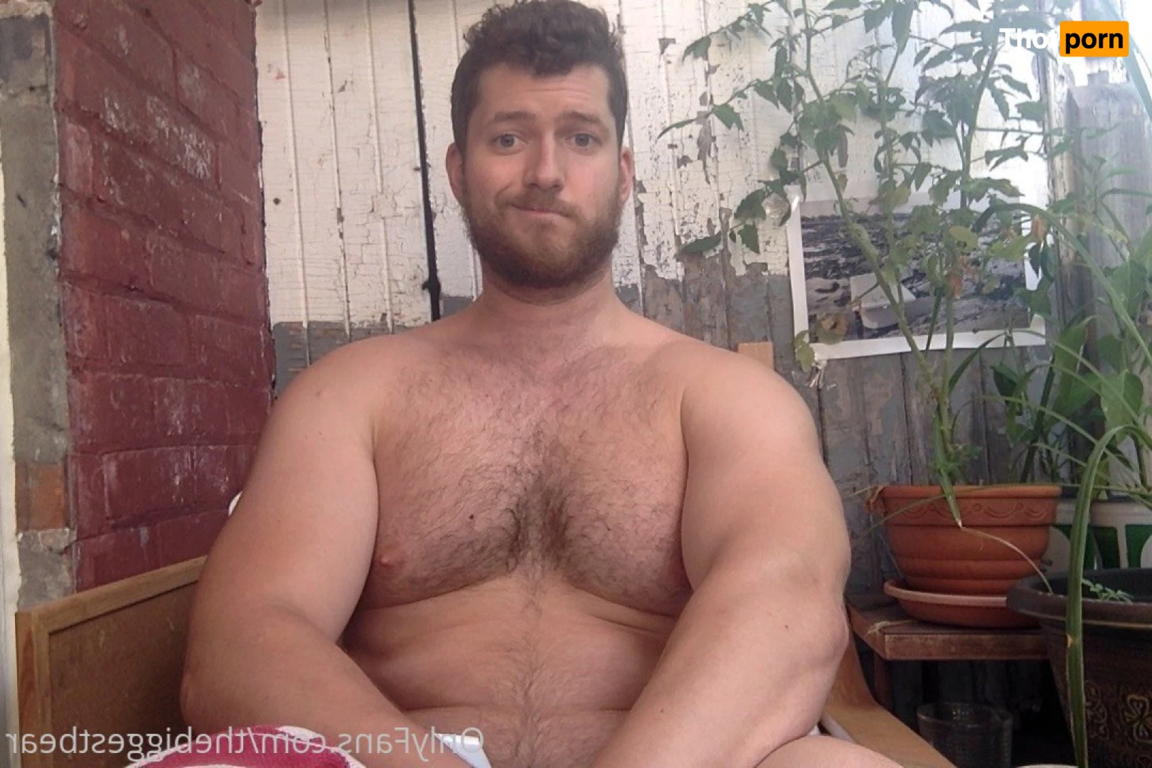 The Biggest Bear 6589979