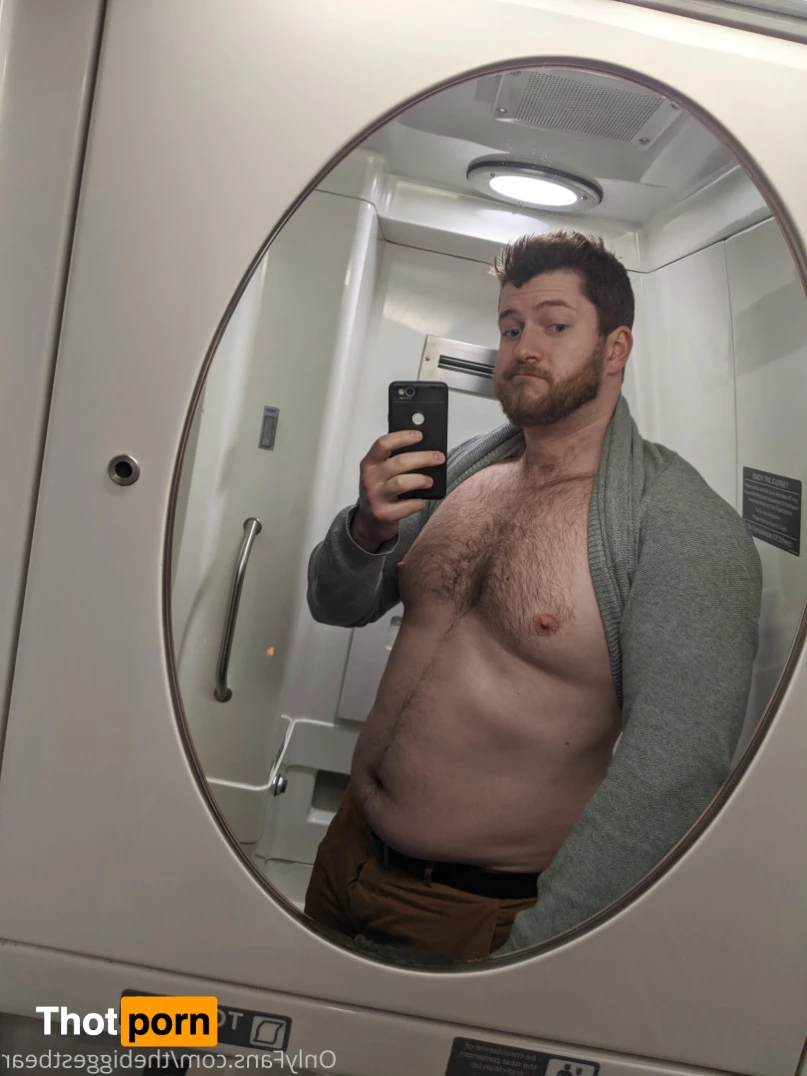 The Biggest Bear 6589989