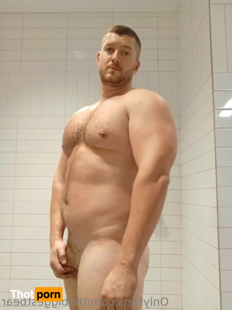 The Biggest Bear 6590007