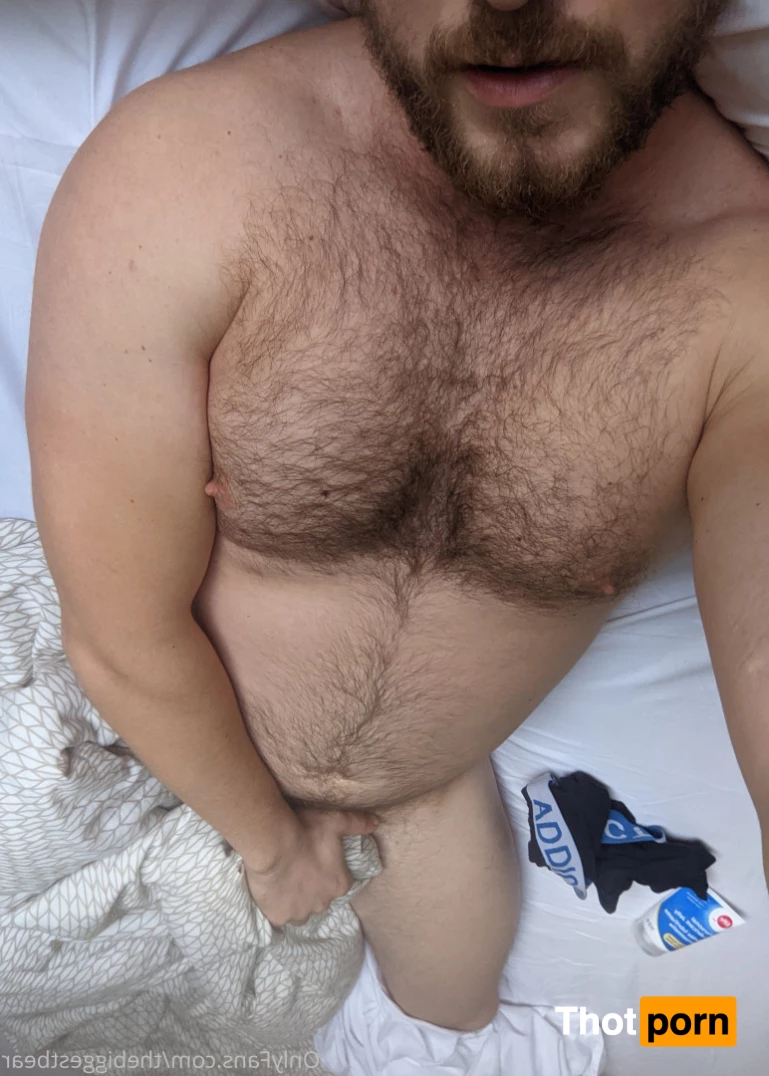 The Biggest Bear 6590018