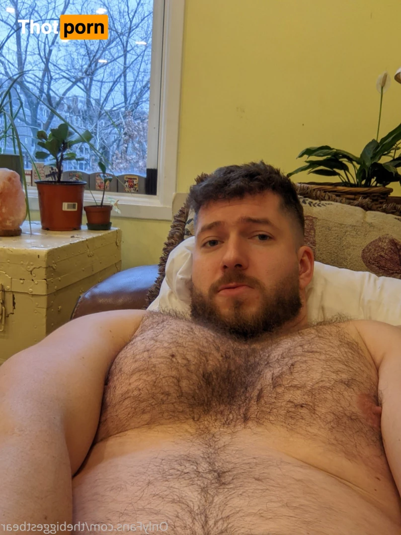 The Biggest Bear 6590058