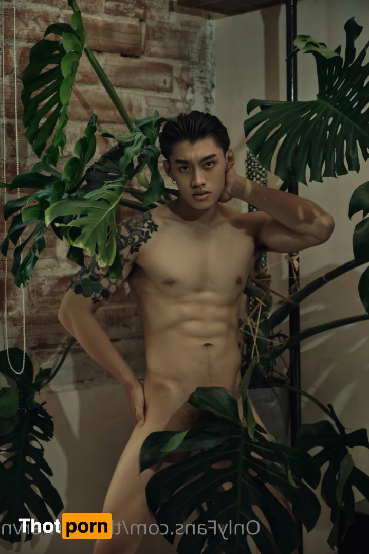 The T Corner 6911407