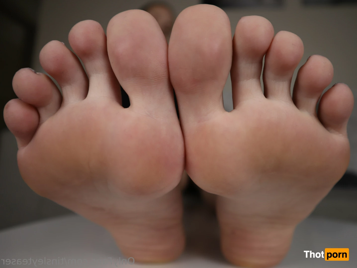 Tinsley Teaser 10425260