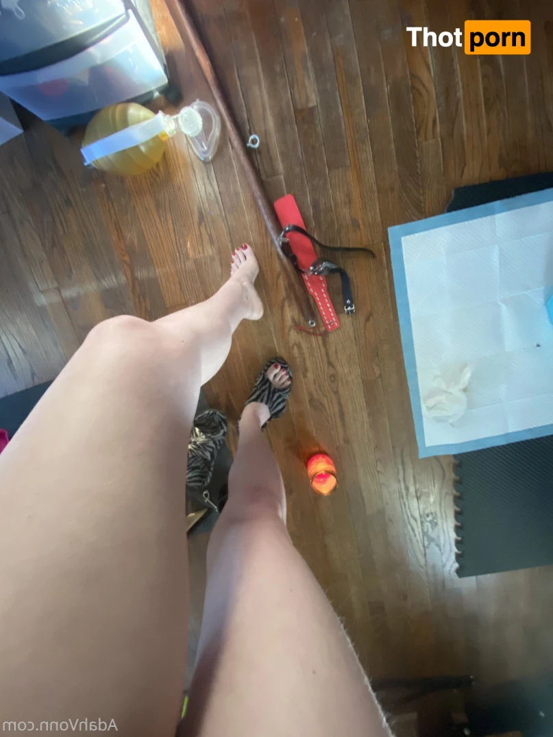 Miss Adah Vonn 6567088